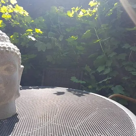 Great 10 Min. Near Amsterdam *