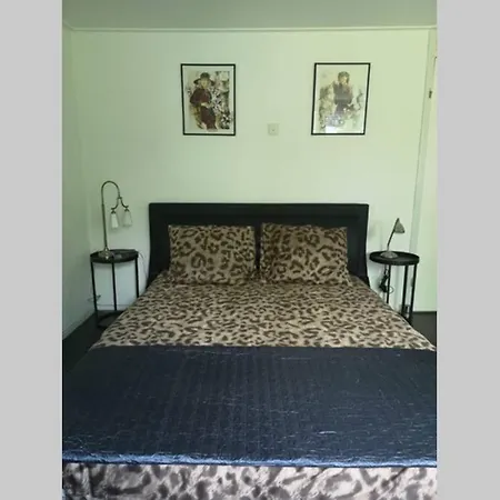 Great 10 Min. Near Amsterdam * Landsmeer