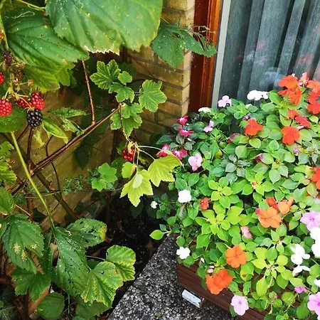 Great 10 Min. Near Amsterdam Apartman Landsmeer